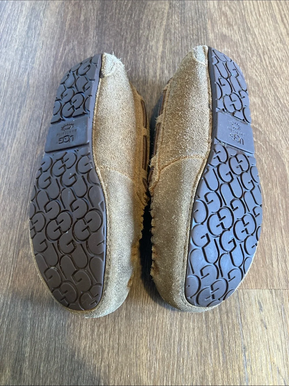 UGG chestnut brown
